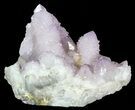 Cactus Quartz (Amethyst) Cluster - Large Crystals #62961-1